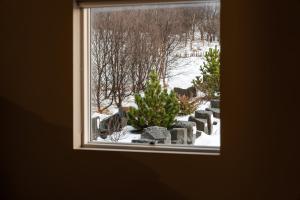 弗吕济Golden Circle Villa - Hot Tub & Sauna的雪中带圣诞树的窗户