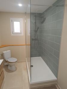 奥朗日LES JARDINS D'ORANGE的带淋浴和卫生间的浴室
