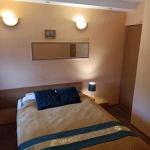 奥克宁卡"Vanilla" Pokoje i Apartamenty Nad Brzegiem Jeziora的一间卧室配有一张带蓝色枕头的床。