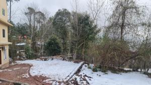 穆里Patriata Suits Camping Site的倒在院子里的树,地上有雪