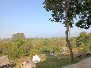 清道shambhala Mt Chiang dao的一群在田野里树的帐篷