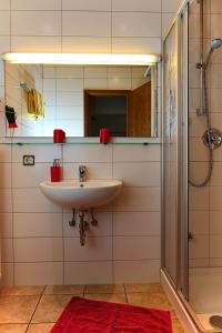 KirrweilerHotel Garni Sebastian的一间带水槽和淋浴的浴室