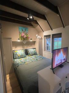 WijheNatuurhuisje - Gastenverblijf De Kleine Hazerij的一间卧室配有一张床和一台电视