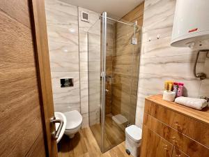 迪瓦伊巴雷Zlatni apartman Borovi的一间带卫生间和玻璃淋浴间的浴室