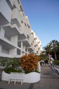 圣克鲁斯-德特内里费Playa Chica Beachfront Apartment的前面有白色长凳的建筑