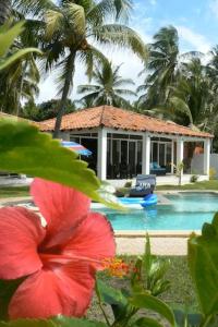 El PorvenirVistabella Beach House - Pool, Beach - 12ppl的一座带游泳池和红花的房子