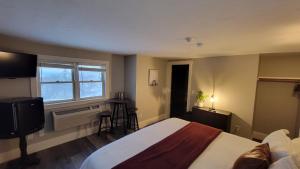 吉尔福特Gunstock Inn & Suites的一间卧室设有一张床、一台电视和一个窗口。