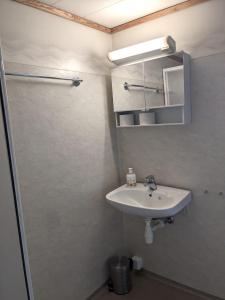 海宁格松Haugesund Urban Hotel的一间带水槽、镜子和淋浴的浴室
