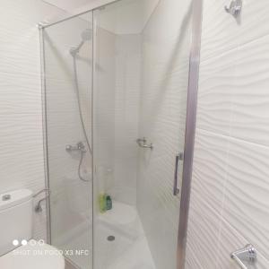 坎德拉里亚APARTAMENTO NAIR的浴室设有玻璃淋浴间和卫生间