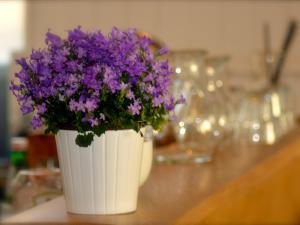 基林The Courie Inn的白色花瓶,上面有紫色花朵