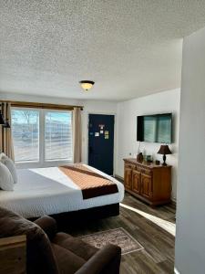 芒廷维尤Mountain View Guest Motel的一间卧室配有一张床和一台平面电视