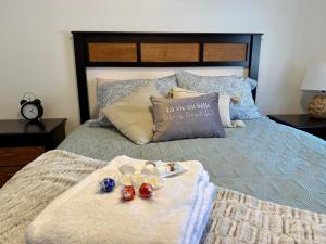 魁北克市Coin tranquille en pleine ville的一间卧室配有一张带两个枕头的床和一盘药丸