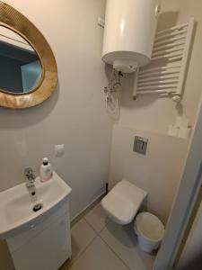卡托维兹Mia Mia House的一间带水槽、卫生间和镜子的浴室
