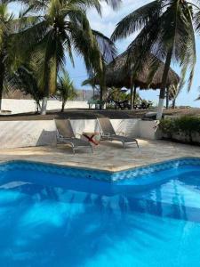 IztapaCasa de playa, en isla, frente al mar y canal的两把椅子,旁边是一座棕榈树游泳池