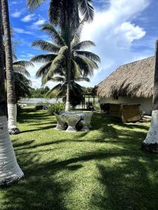 IztapaCasa de playa, en isla, frente al mar y canal的一个带桌子和棕榈树的院子和一座建筑
