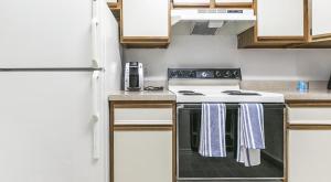 辛辛那提Landing Modern Apartment with Amazing Amenities (ID7025X65)的厨房配有炉灶和冰箱。