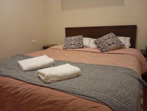 科伊艾科Cómodo departamento full equipado en Coyhaique的两张床,上面有毛巾