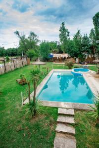 科隆Altavista TERRA的庭院后院的游泳池