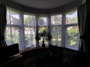 贝克斯希尔William Morris, Spacious ground floor lux double bedroom的客厅设有大窗户和盆栽植物