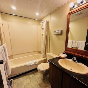 史密瑟斯卡普里汽车旅馆 的带浴缸、卫生间和盥洗盆的浴室