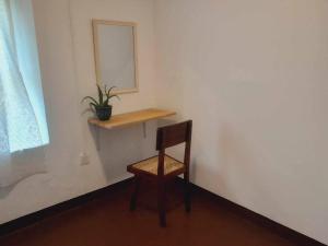 希克杜沃Laliz的镜子和植物间的椅子