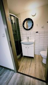 达布罗瓦古尔尼恰Apartamenty Retro的一间带水槽、卫生间和镜子的浴室