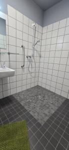巴特萨尔茨乌夫伦Mastersuite的带淋浴和盥洗盆的浴室