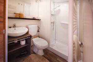 班斯卡 - 什佳夫尼察ForRest Glamping的浴室配有卫生间、盥洗盆和淋浴。