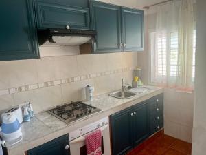 巴列埃尔莫索Casa Azul的厨房配有绿色橱柜和水槽