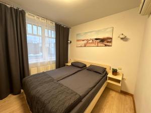 阿达兹Čill Easy hotel with self check-in的一间卧室设有一张床和一个大窗户