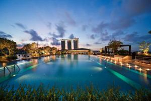 The Fullerton Bay Hotel Singapore内部或周边的泳池