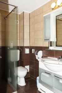 艾福雷诺德格兰德酒店的一间带卫生间、水槽和镜子的浴室