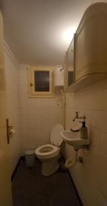 塞萨洛尼基Modern Home的一间带卫生间和水槽的浴室