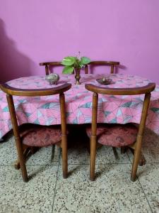 布巴内什瓦尔Ashiyana的一张桌子,上面有两把椅子和一株植物
