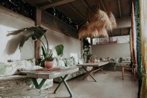 马拉喀什117号摩洛哥传统庭院住宅的带沙发、桌子和植物的客厅