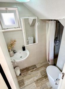 阿尔热祖尔Vila Fortaleza的一间带水槽、卫生间和镜子的浴室