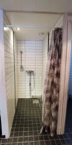 南雪平Semesterhus med spabad & bastu的带淋浴和浴帘的浴室