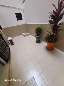 NgorParadis Appartement的一间空房间,地板上有两个盆栽植物