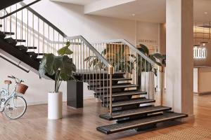 阿德莱德Hotel Alba Adelaide的一座种植盆栽植物的房子里的楼梯