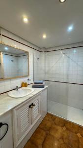 阿德耶BuenaVista Torviscas Beach的一间带水槽、淋浴和镜子的浴室