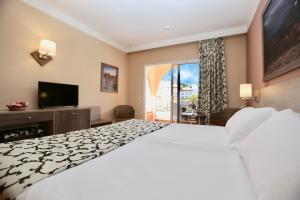 拉克鲁斯Hotel Puerto Palace的酒店客房,配有床和电视
