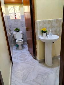 奈瓦沙Naivasha TownHouse的一间带卫生间和水槽的浴室