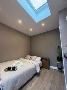 卢顿Modern Garden Studio for comfy stay的一间卧室配有一张带天窗的大床