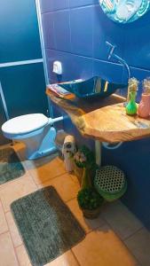 弗洛里亚诺波利斯Guest House Lagoa的蓝色的浴室设有水槽和卫生间