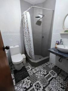 伊察"Pacae" House的带淋浴、卫生间和盥洗盆的浴室