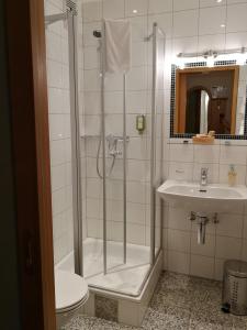 霍赫斯特代林德酒店的带淋浴、卫生间和盥洗盆的浴室