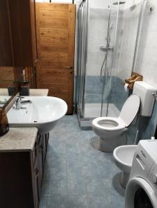 瓦托内切Maison du Soleil- CIR VDA Valtournenche n 0204的浴室配有卫生间、盥洗盆和淋浴。