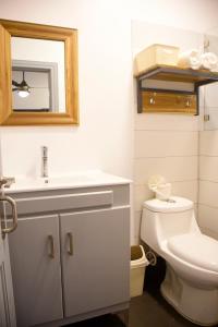 圣塔芭芭拉-山美纳Hostal Marina Samana的一间带卫生间、水槽和镜子的浴室
