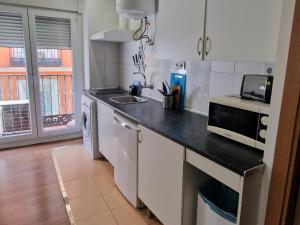 马德里Apartamentos EconoStay Barbieri 1的厨房配有带微波炉和水槽的台面