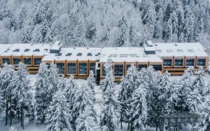 巴库里阿尼ski-in/ski-out apartment in Bakuriani的一座被雪覆盖的建筑,有雪覆盖的树木